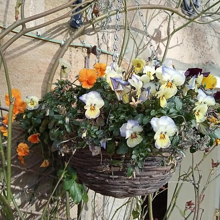 Orchard Cottage Ripon Esterno foto